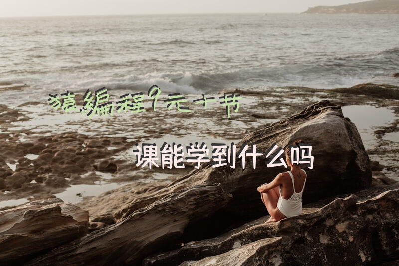 猿编程9元十节课能学到什么吗？