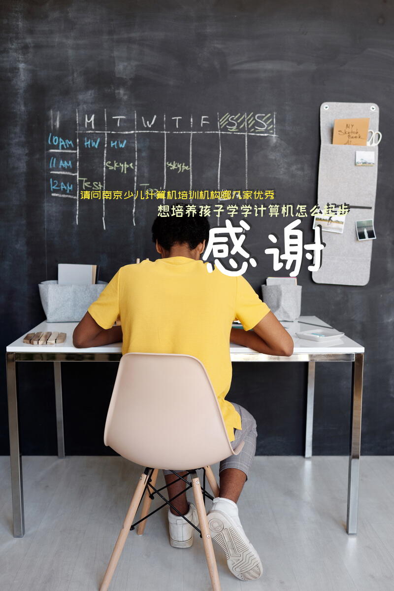 请问南京少儿计算机培训机构哪几家优秀？想培养孩子学学计算机怎么起步？感谢？