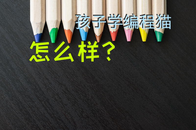 孩子学编程猫怎么样？