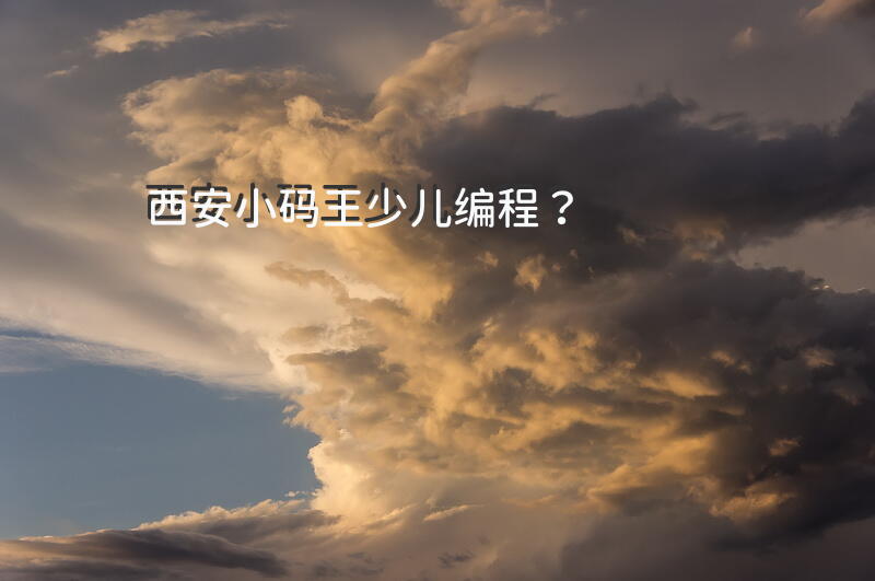 西安小码王少儿编程？