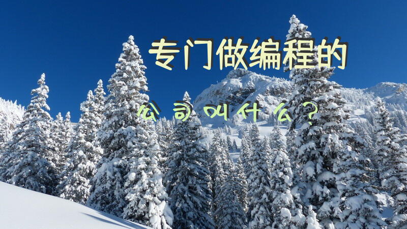 专门做编程的公司叫什么？