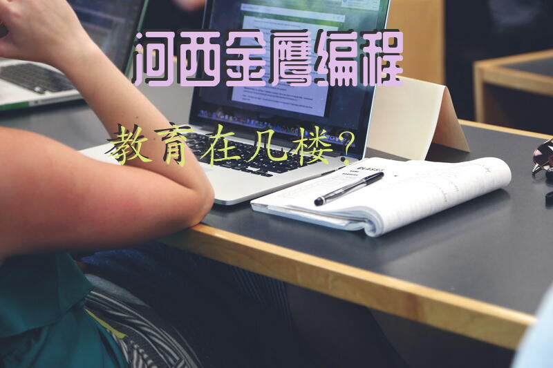 河西金鹰编程教育在几楼？