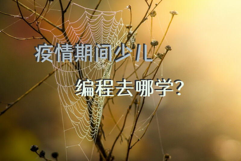 疫情期间，少儿编程去哪学？