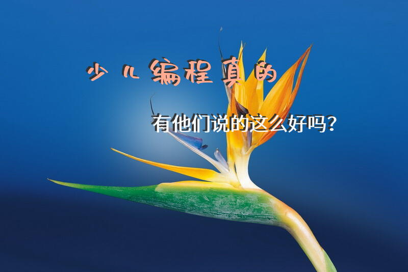 少儿编程真的有他们说的这么好吗？