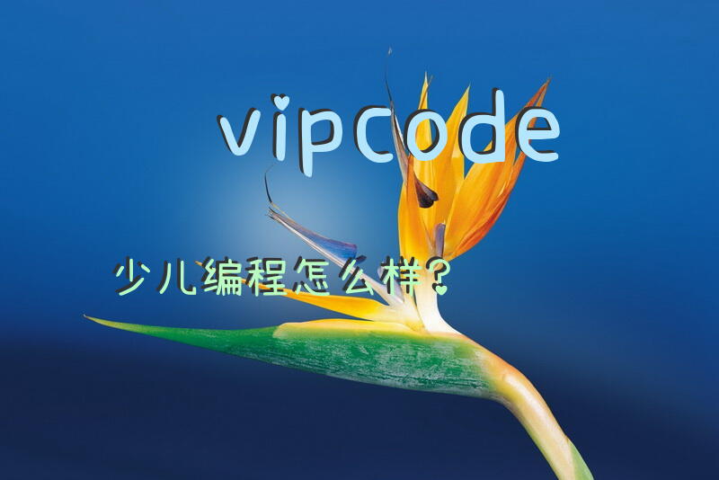 vipcode少儿编程怎么样？