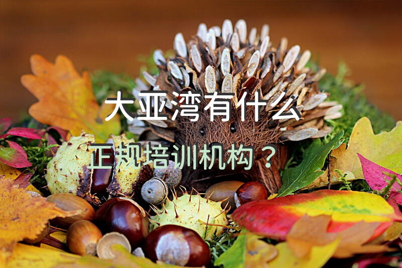 大亚湾有什么正规培训机构？