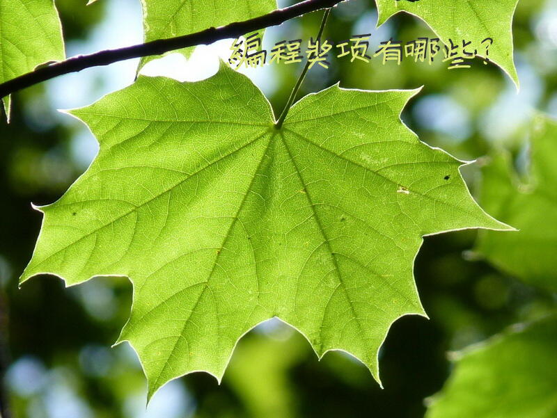 编程奖项有哪些？