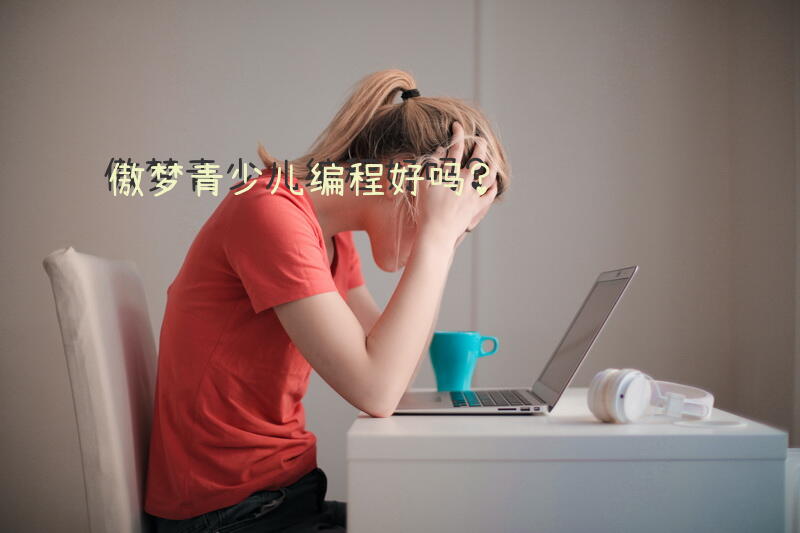 傲梦青少儿编程好吗？