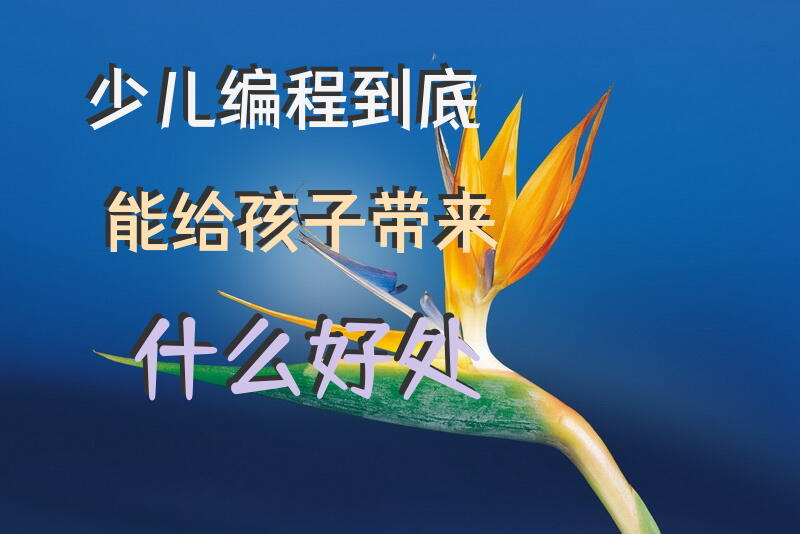 少儿编程到底能给孩子带来什么好处？