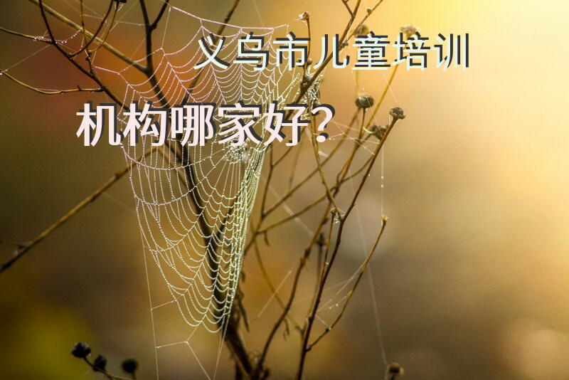 义乌市儿童培训机构哪家好？