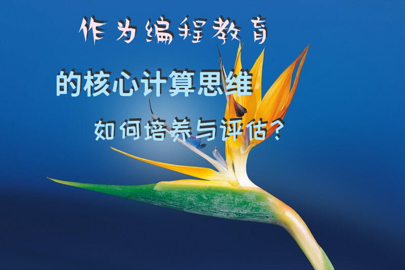 作为编程教育的核心，计算思维如何培养与评估？