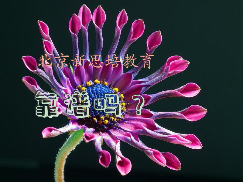 北京新思培教育靠谱吗？