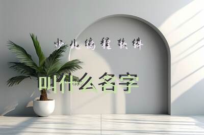 少儿编程软件叫什么名字