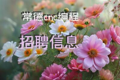 常德cnc编程招聘信息